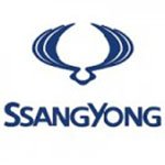 Affordable Ssangyong Diamond Car Mats